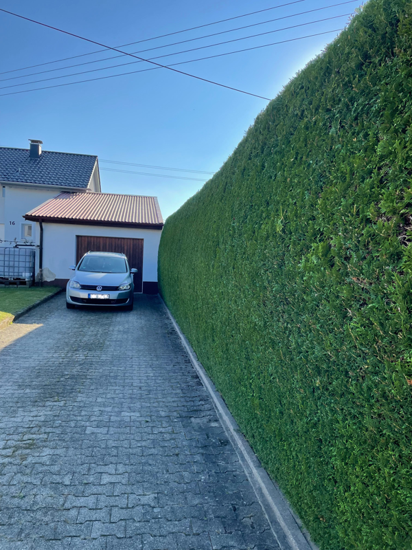 SP-Gartengestaltung