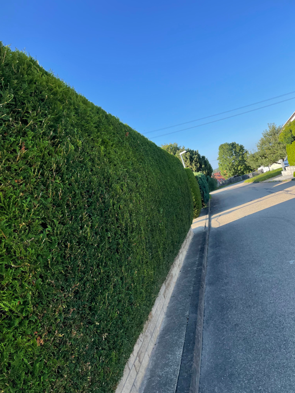 SP-Gartengestaltung