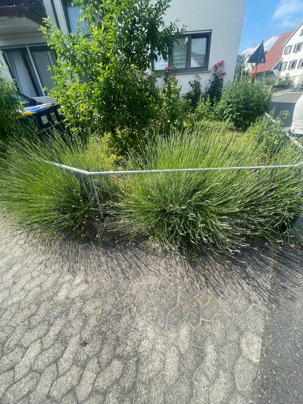 SP-Gartengestaltung